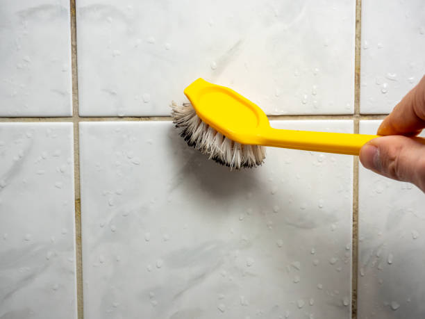 Best Same-Day Mold Removal  in Yarmouth Port, MA