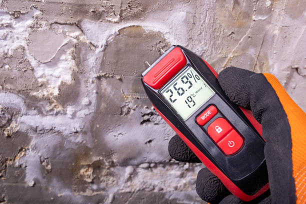 Best Mold Testing  in Yarmouth Port, MA