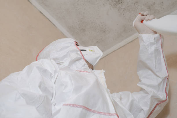 Best Water Damage Restoration  in Yarmouth Port, MA